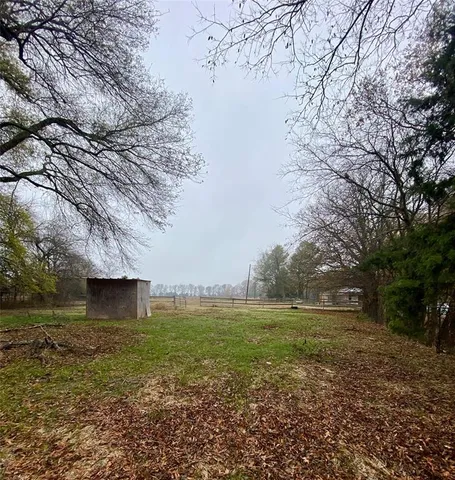 a view of a yard with a trees