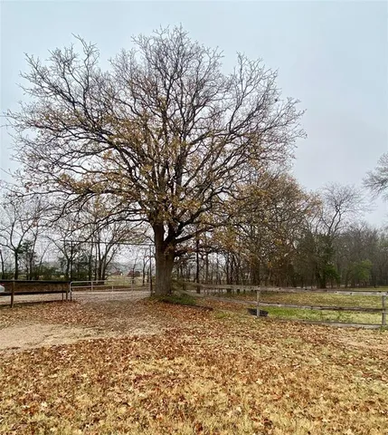 a view of a yard with a tree