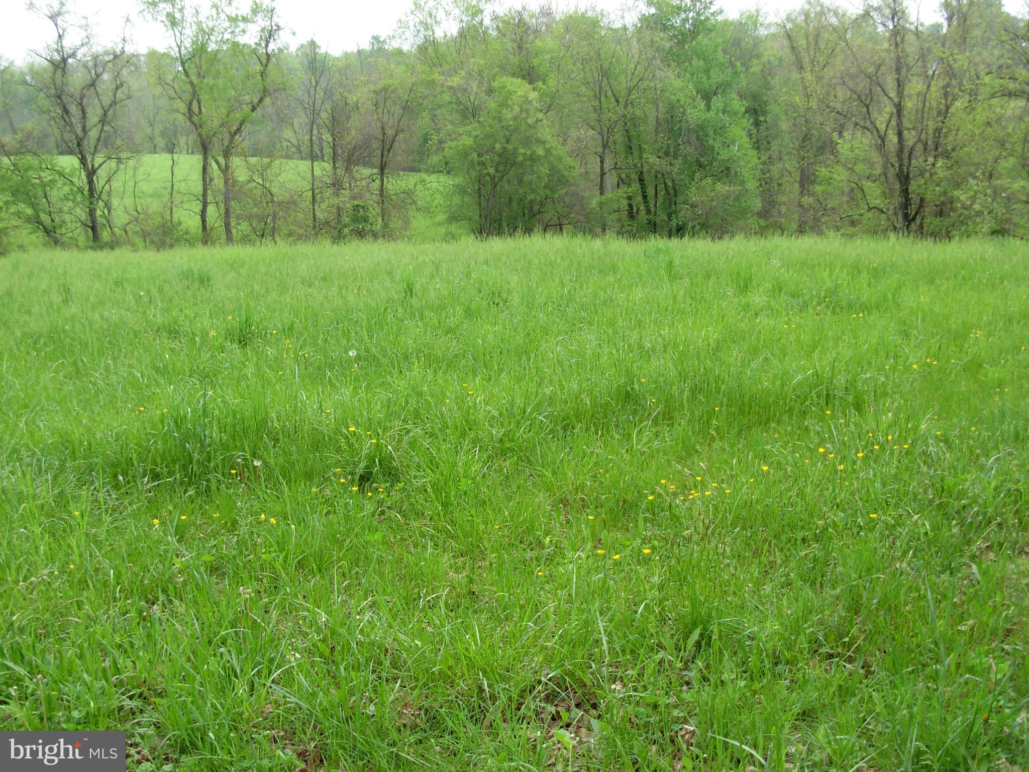 Cooksville Road Purcellville, VA 20132 - Photo 1 of 6 Exterior (General)