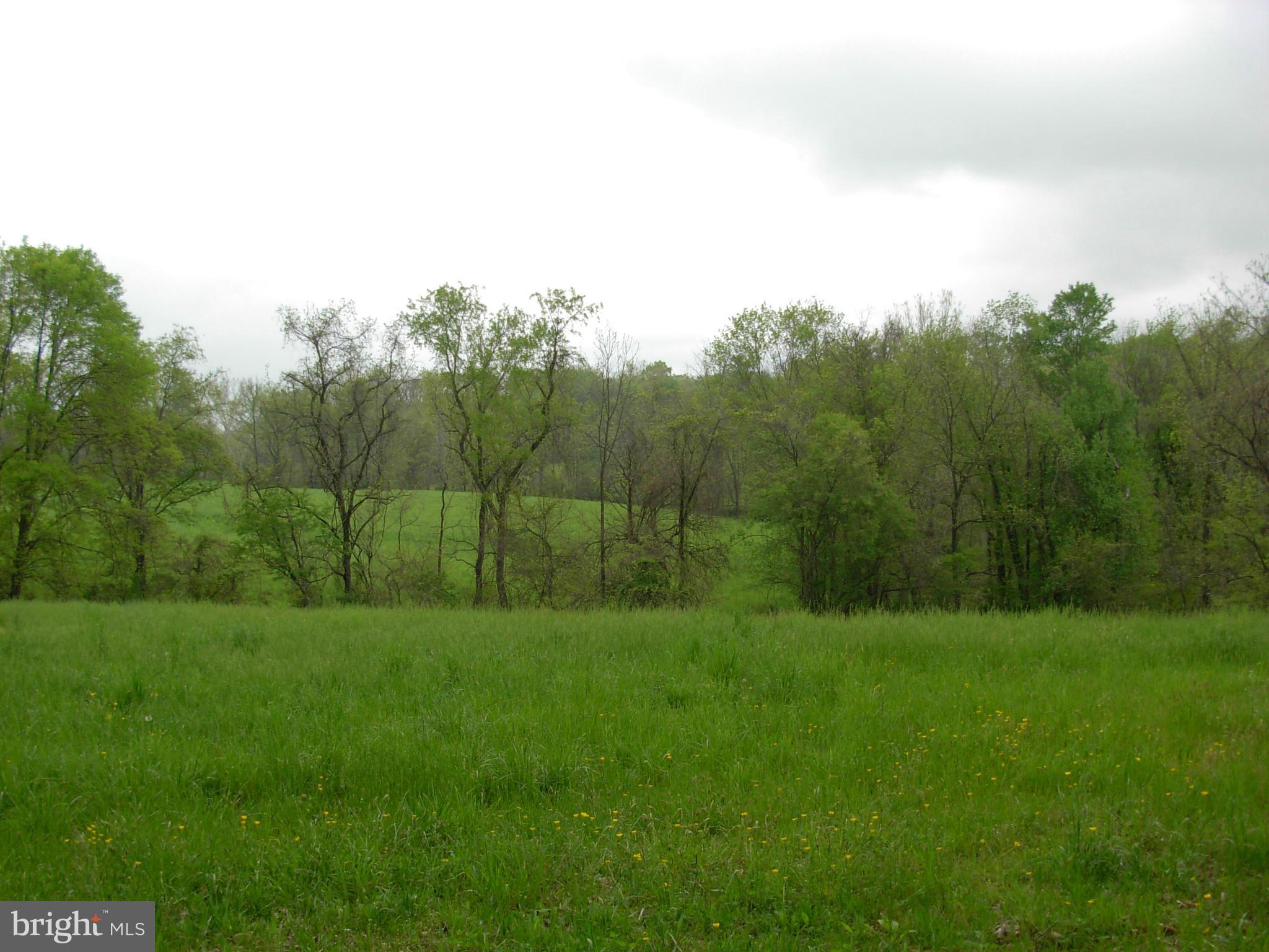Cooksville Road Purcellville, VA 20132 - Photo 2 of 6 Exterior (General)