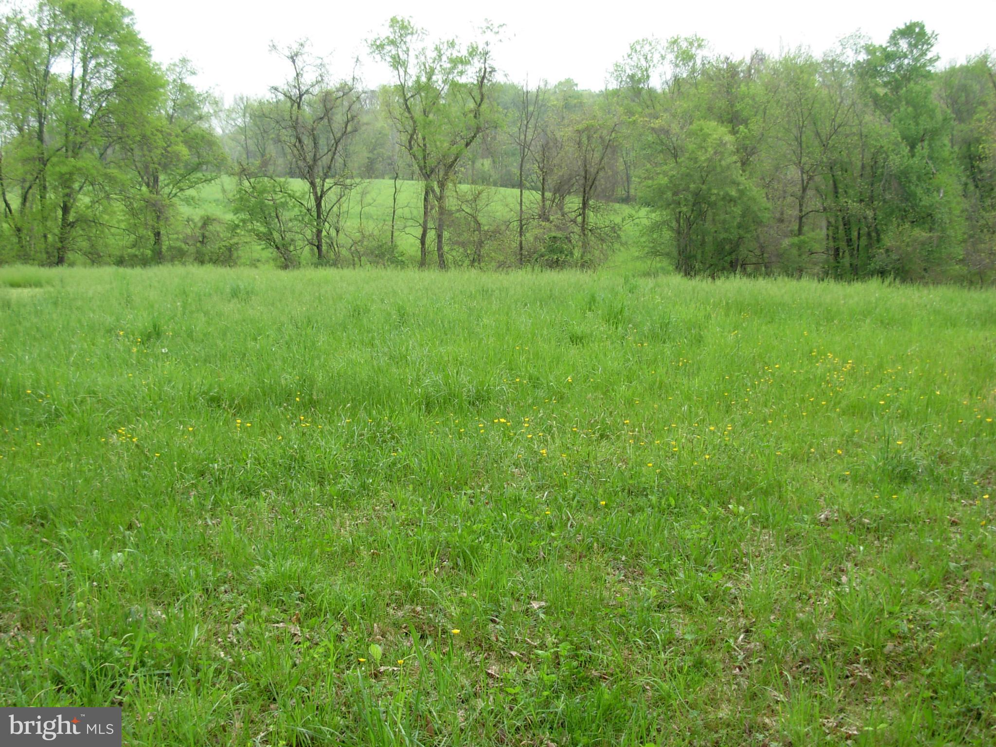 Cooksville Road Purcellville, VA 20132 - Photo 3 of 6 Exterior (General)