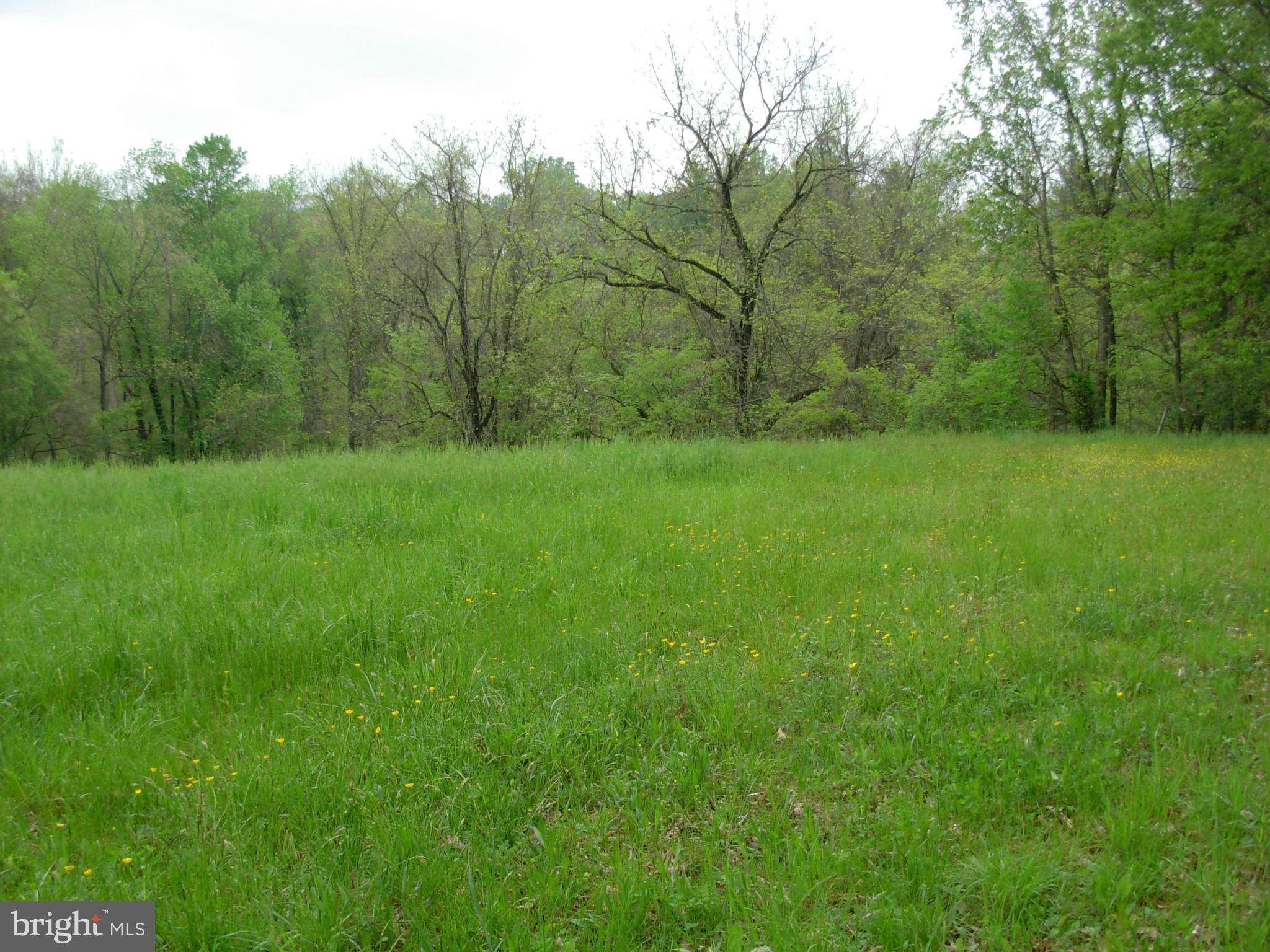 Cooksville Road Purcellville, VA 20132 - Photo 4 of 6 Exterior (General)