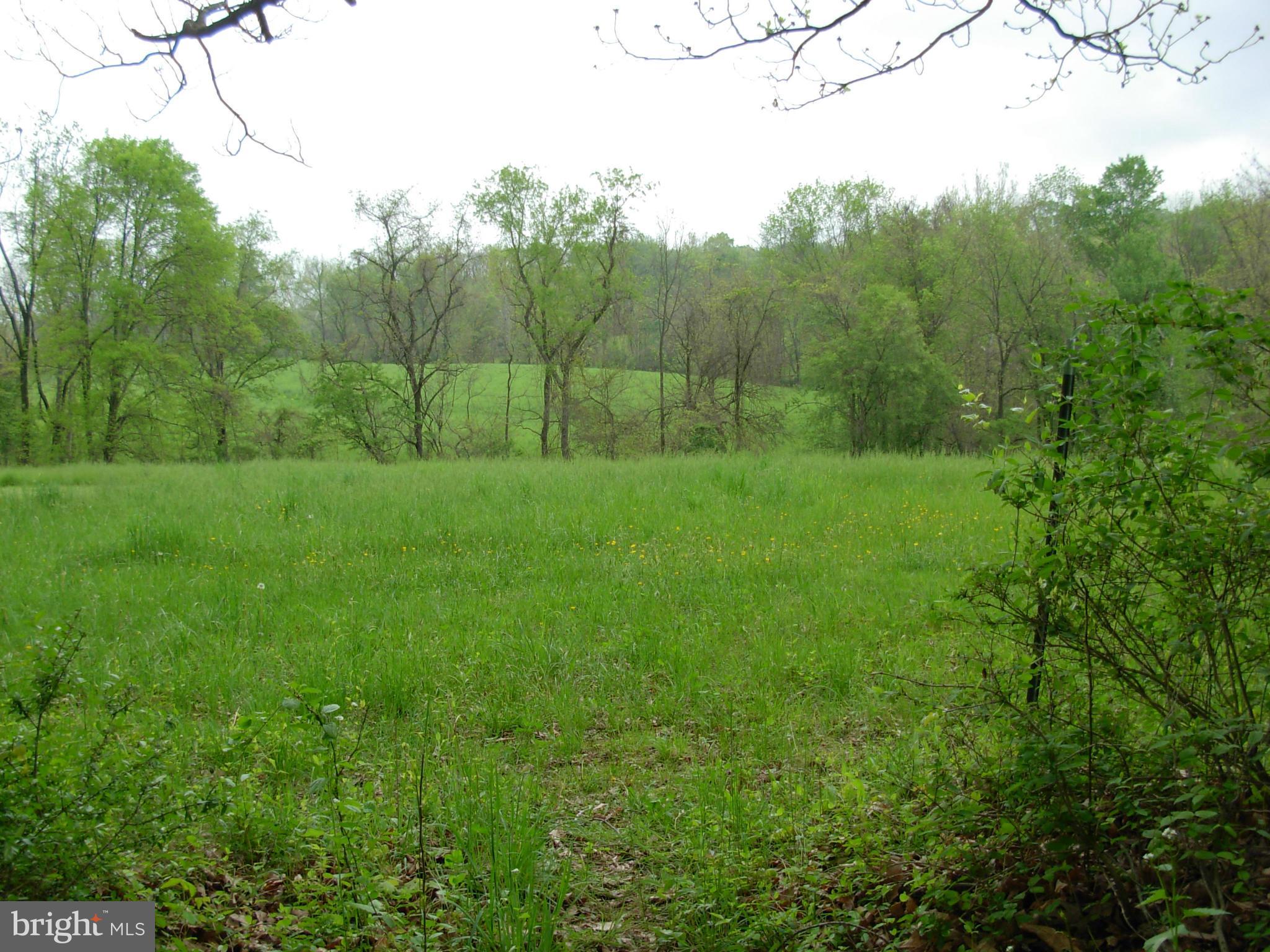 Cooksville Road Purcellville, VA 20132 - Photo 5 of 6 Exterior (General)