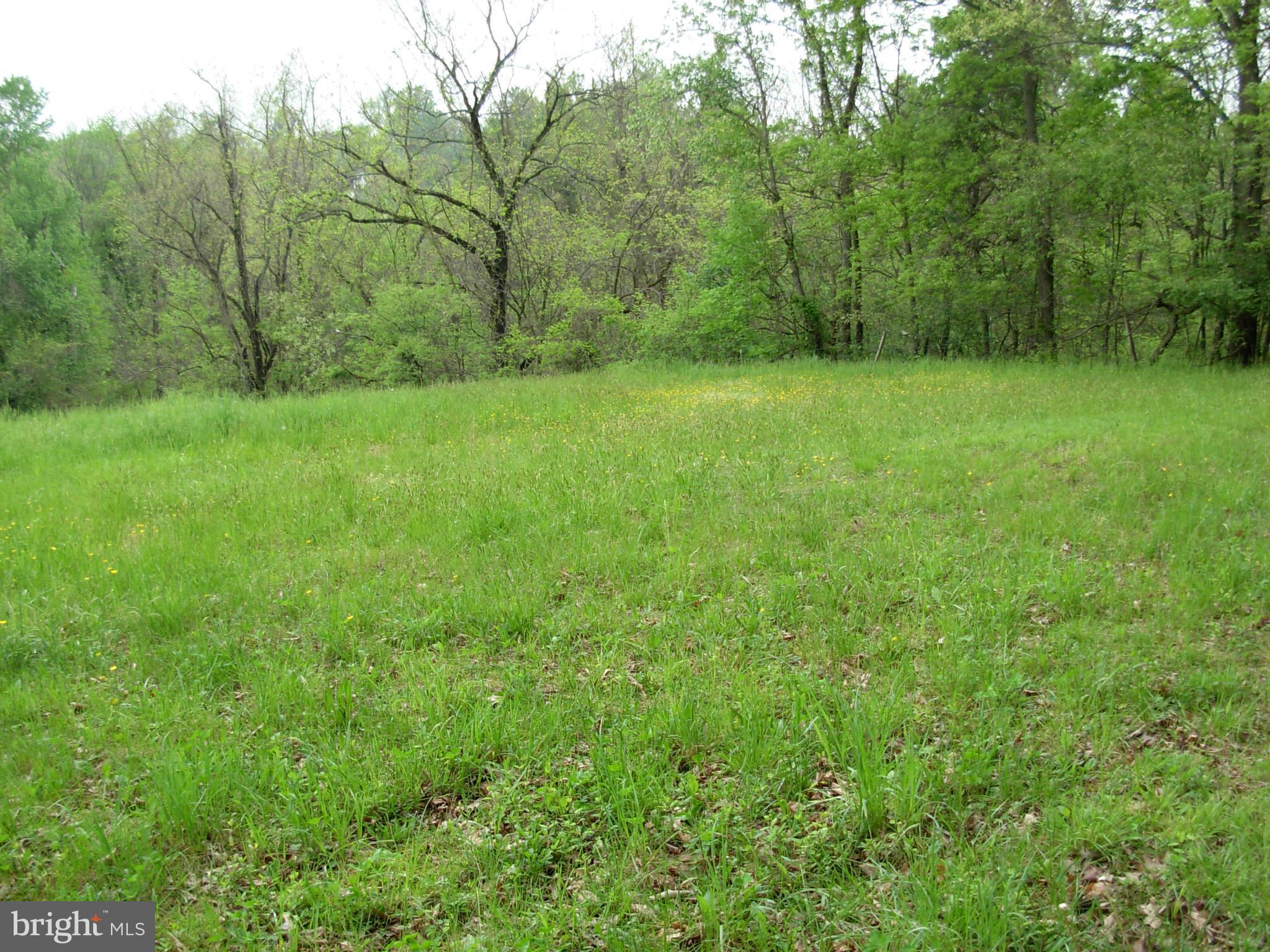 Cooksville Road Purcellville, VA 20132 - Photo 6 of 6 Exterior (General)