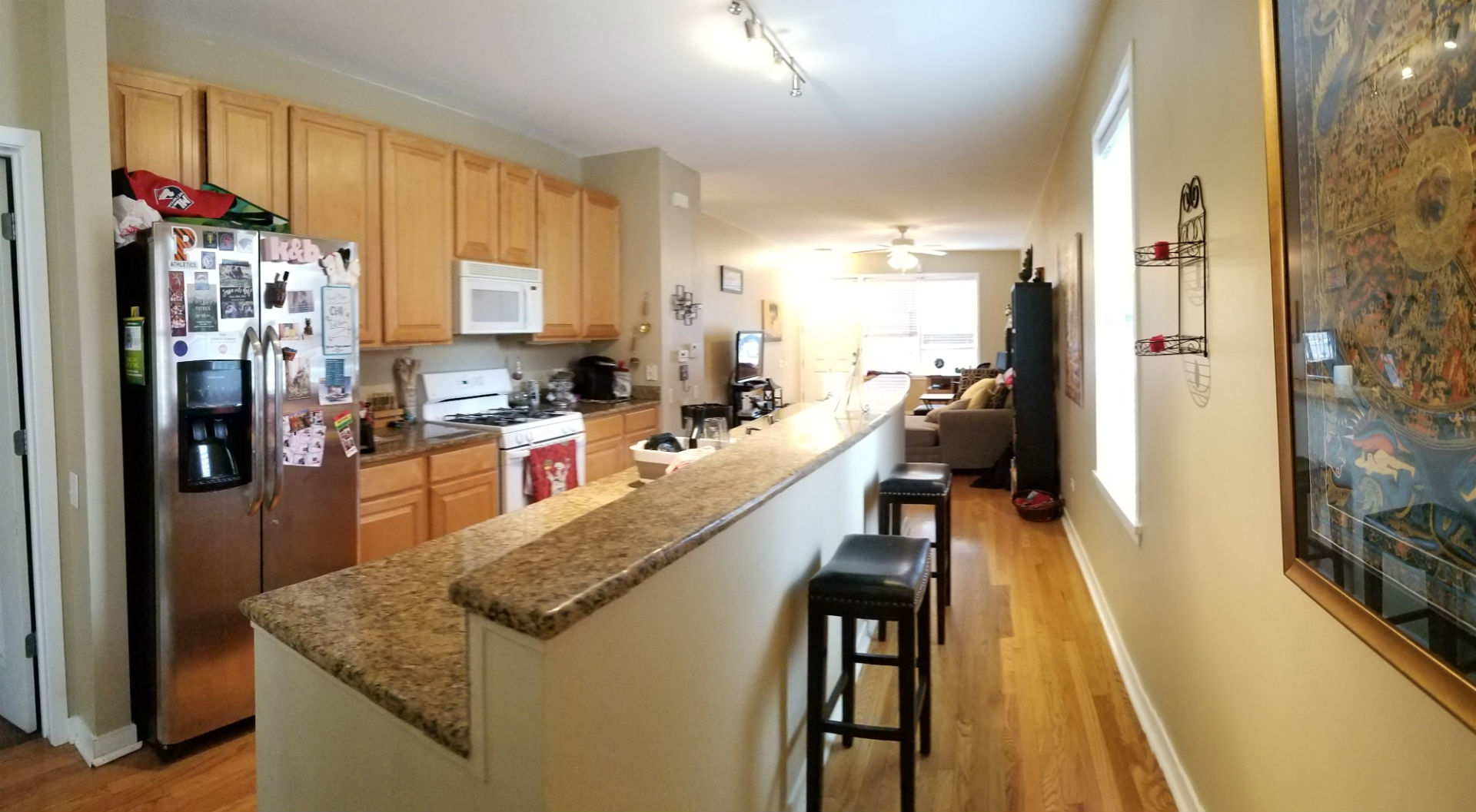 1358 West Fillmore Street, Unit A Chicago, IL 60607 - Photo 6 of 18