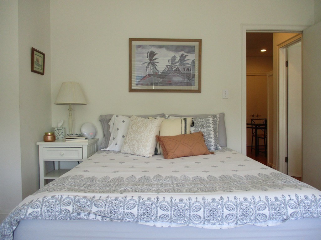 19 Colliston Road, Unit 11 Boston, MA 02135 - Photo 7 of 20