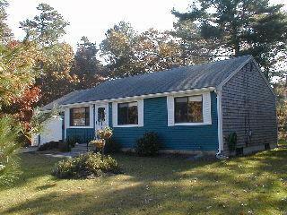 a backyard of a house with potted plants and large tree