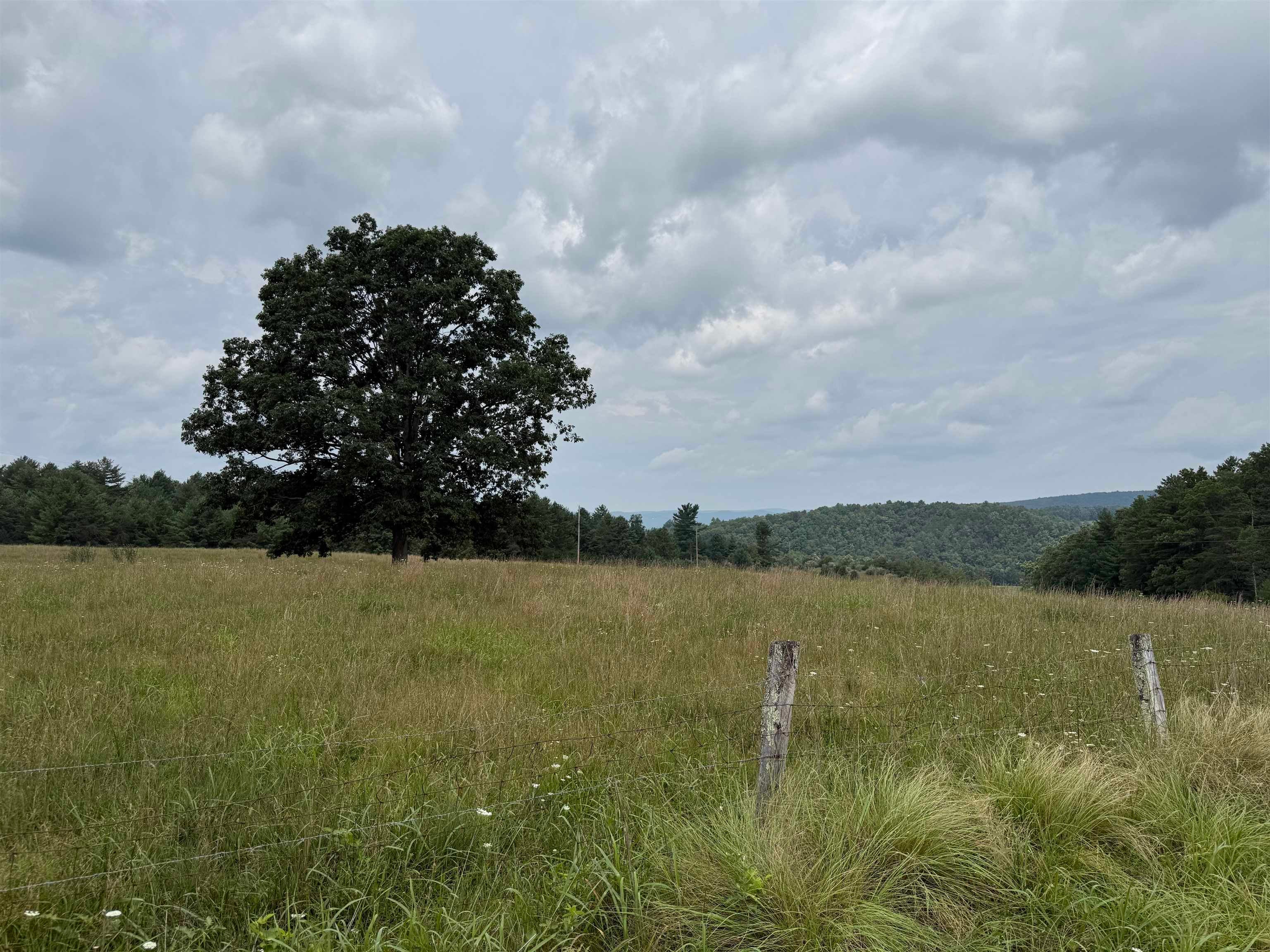 1485 Price Ridge Road Bland, VA 24315 - Photo 48 of 87 Gallery Image 48