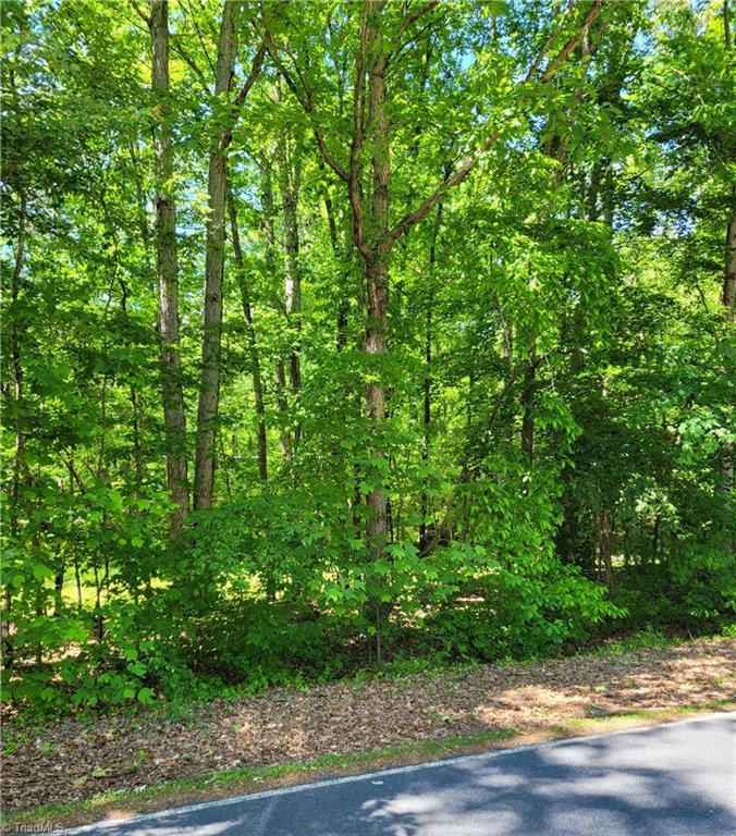 375 Kirkman Road Lexington, NC 27292 - Photo 4 of 5 Gallery Image 4