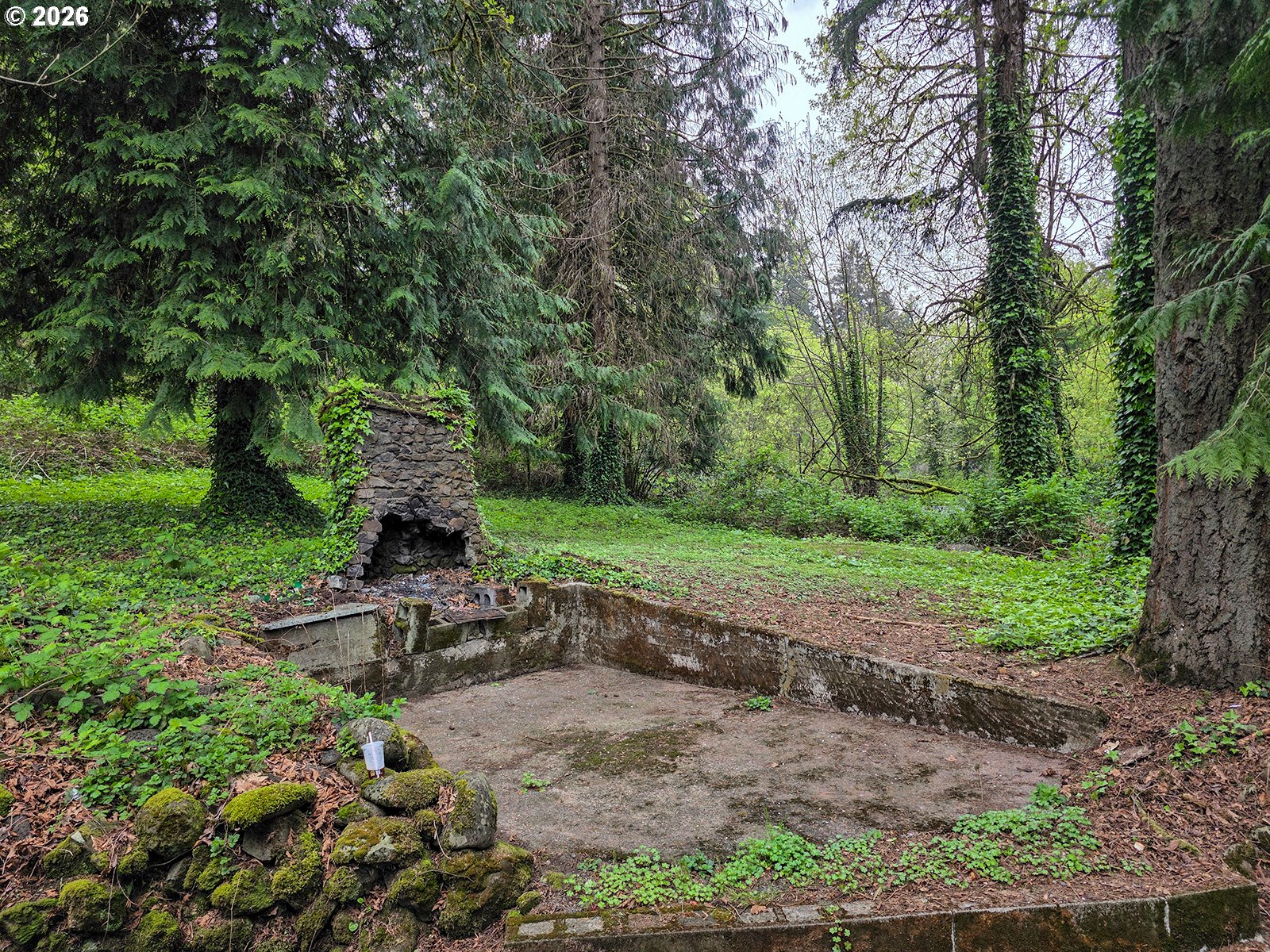 4410 Southeast Aldercrest Road Milwaukie, OR 97222 - Photo 25 of 28 a view of a park with large trees