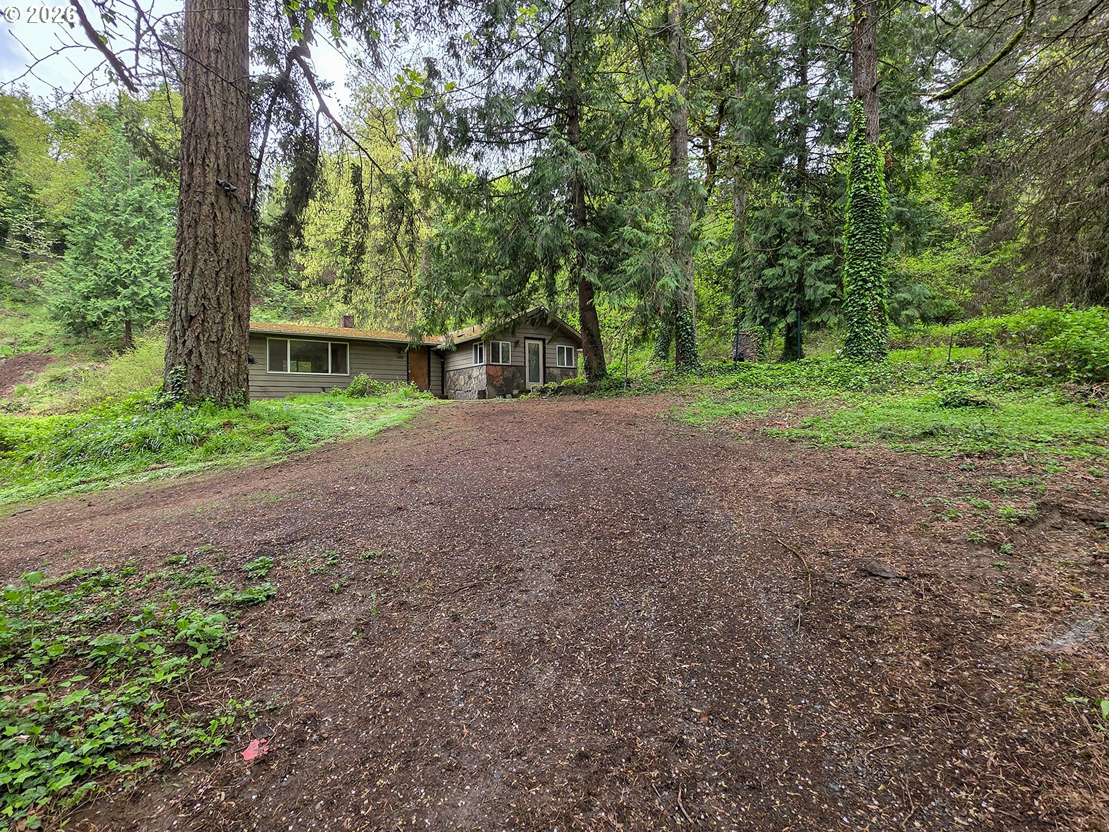 4410 Southeast Aldercrest Road Milwaukie, OR 97222 - Photo 3 of 28 a view of a yard with large trees