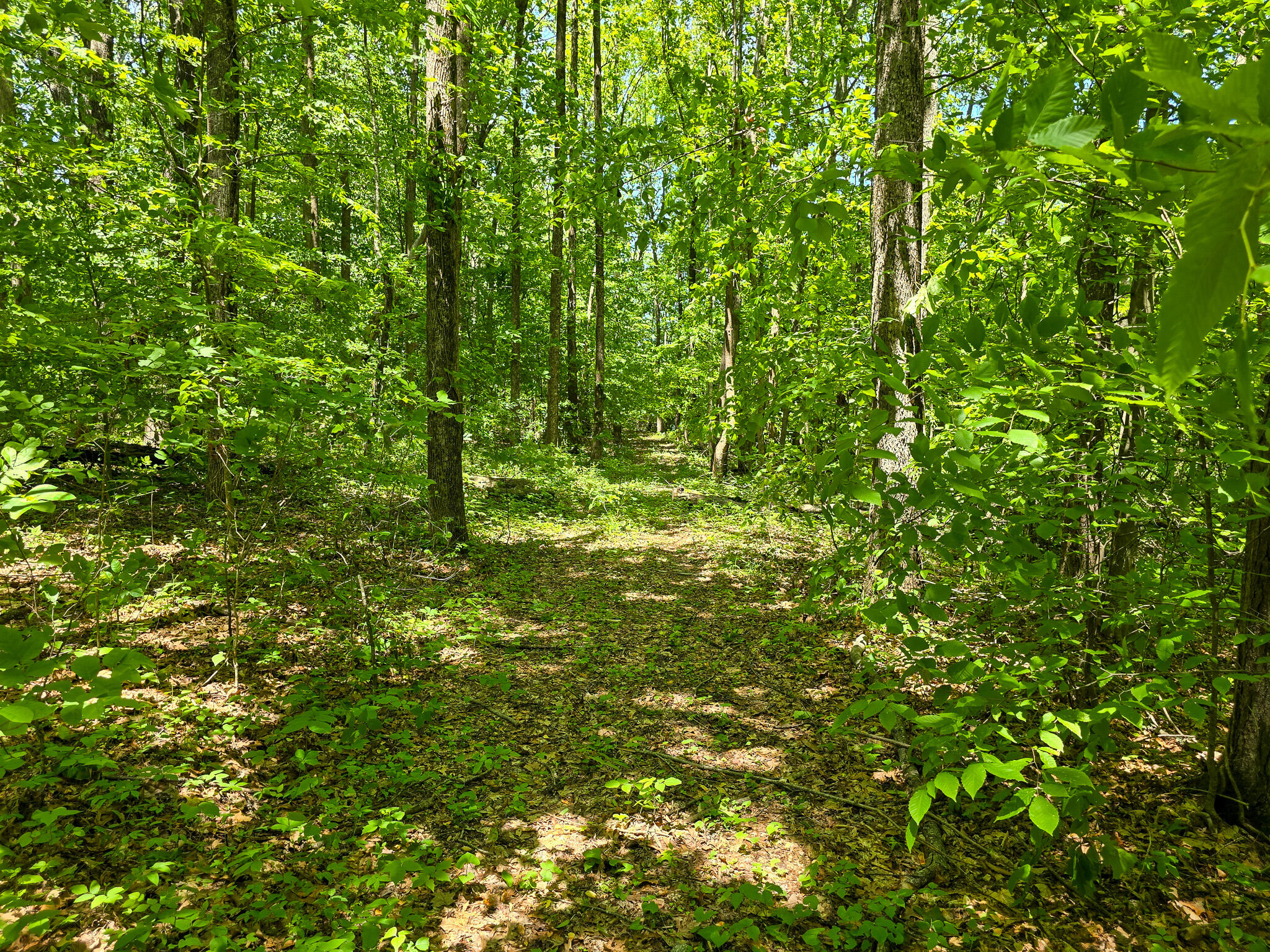 9999 Walter Huff Road Liberty, KY 42539 - Photo 10 of 42 20250517_134122