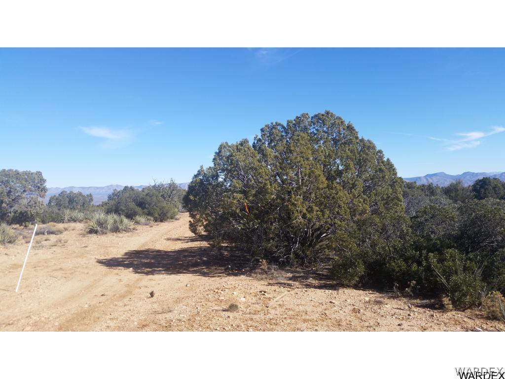 Lot51-54 South Atkins Ranch Road Kingman, AZ 86401 - Photo 2 of 14