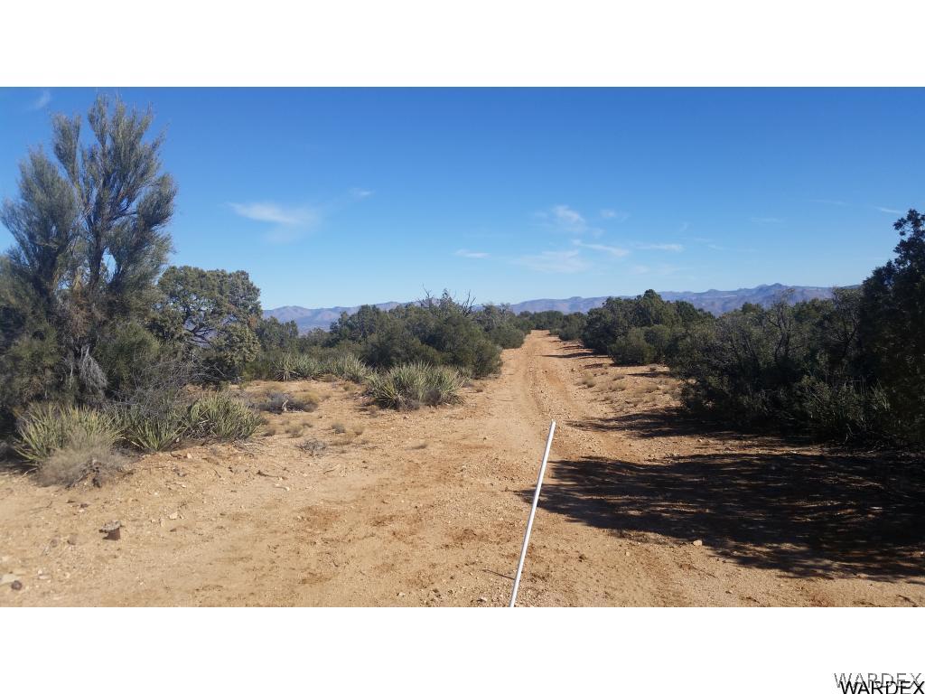 Lot51-54 South Atkins Ranch Road Kingman, AZ 86401 - Photo 3 of 14