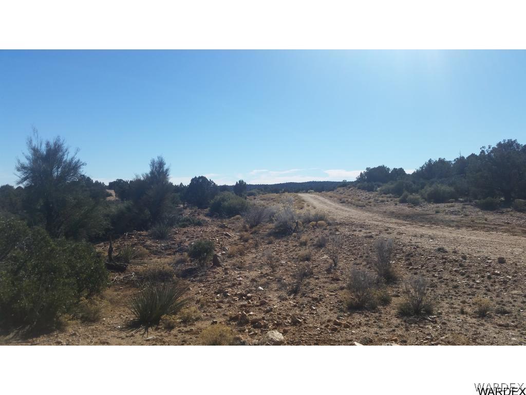 Lot51-54 South Atkins Ranch Road Kingman, AZ 86401 - Photo 4 of 14