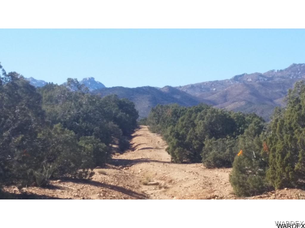 Lot51-54 South Atkins Ranch Road Kingman, AZ 86401 - Photo 6 of 14