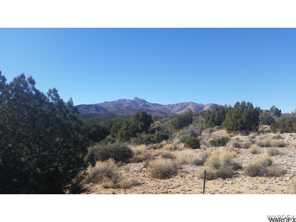 Lot51-54 South Atkins Ranch Road Kingman, AZ 86401 - Photo 7 of 14