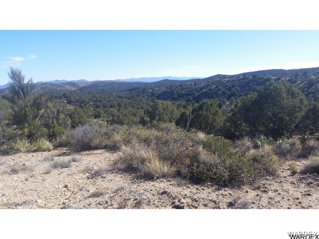 Lot51-54 South Atkins Ranch Road Kingman, AZ 86401 - Photo 10 of 14