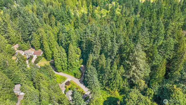 a view of a yard with plants