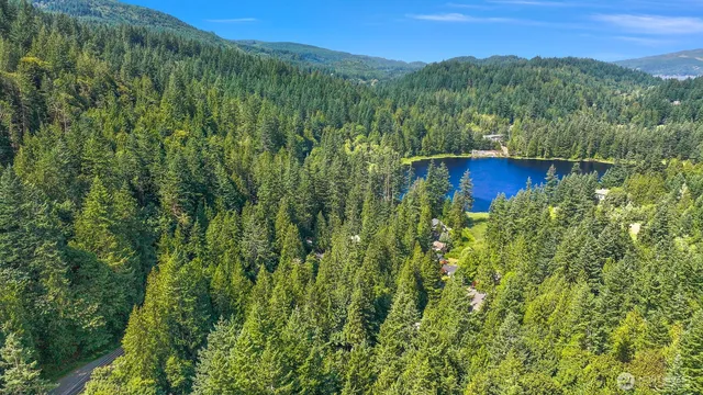 a view of a lush green forest with a mountain