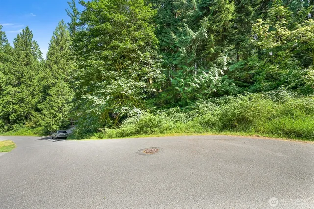 a view of a garden and trees
