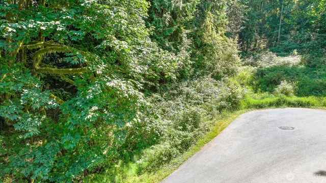 a view of a garden with plants