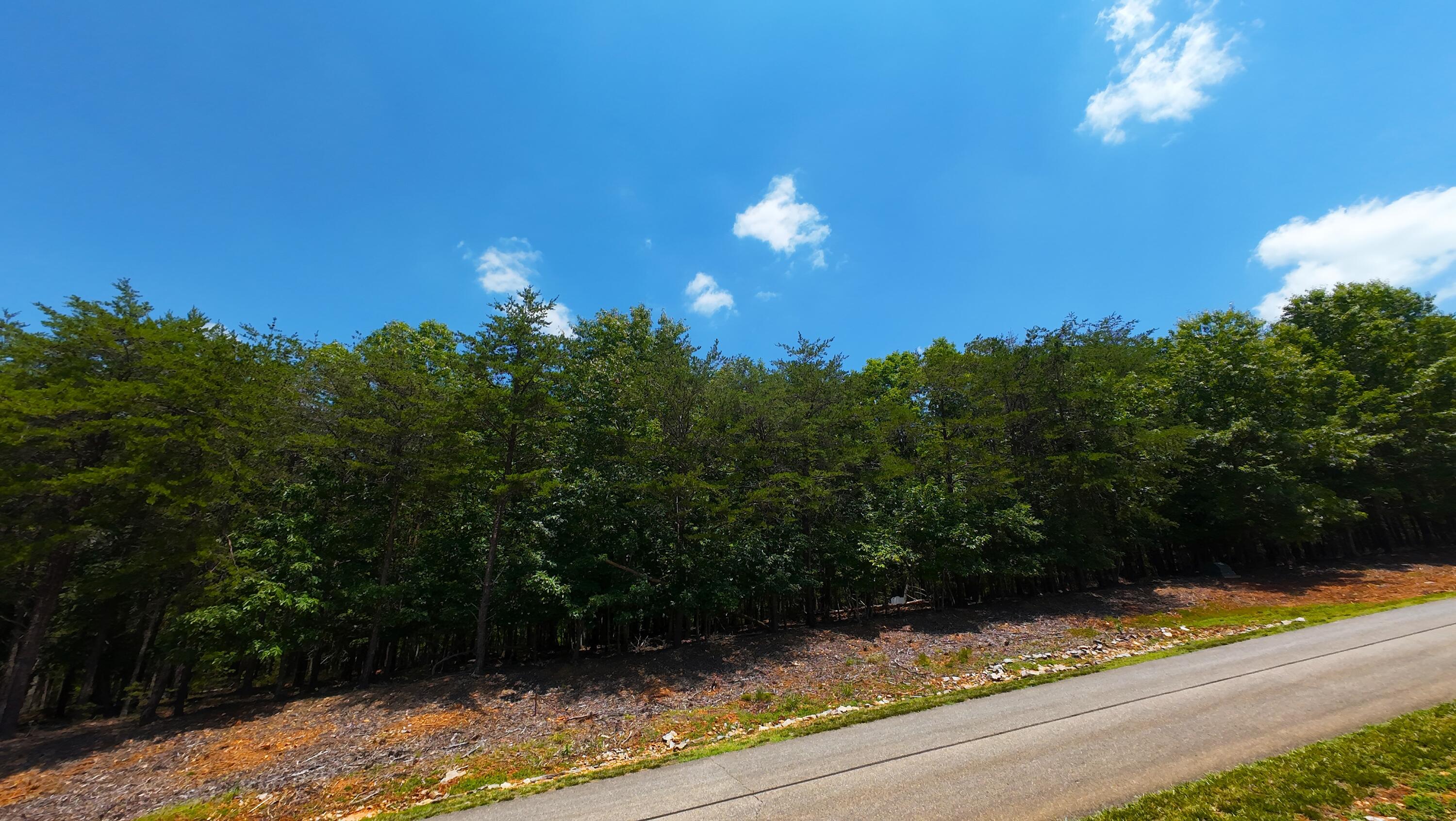 Lot 61 Garrison Ridge Pittsville, VA 24139 - Photo 1 of 14 DJI_20260701131056_0021_D