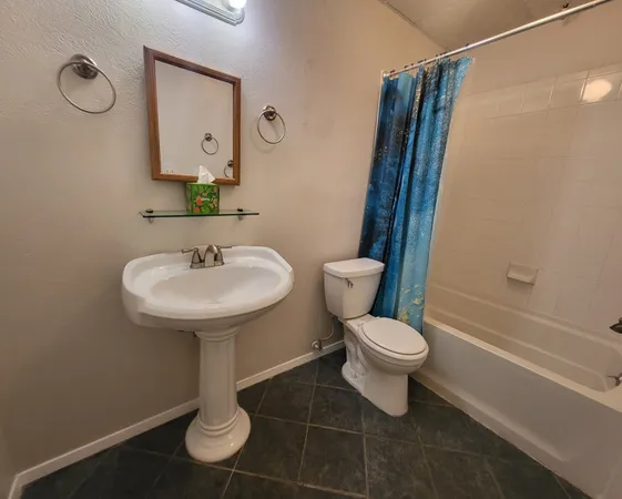 a bathroom with a sink toilet and a mirror