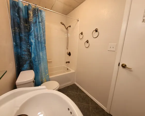 a bathroom with a sink and toilet