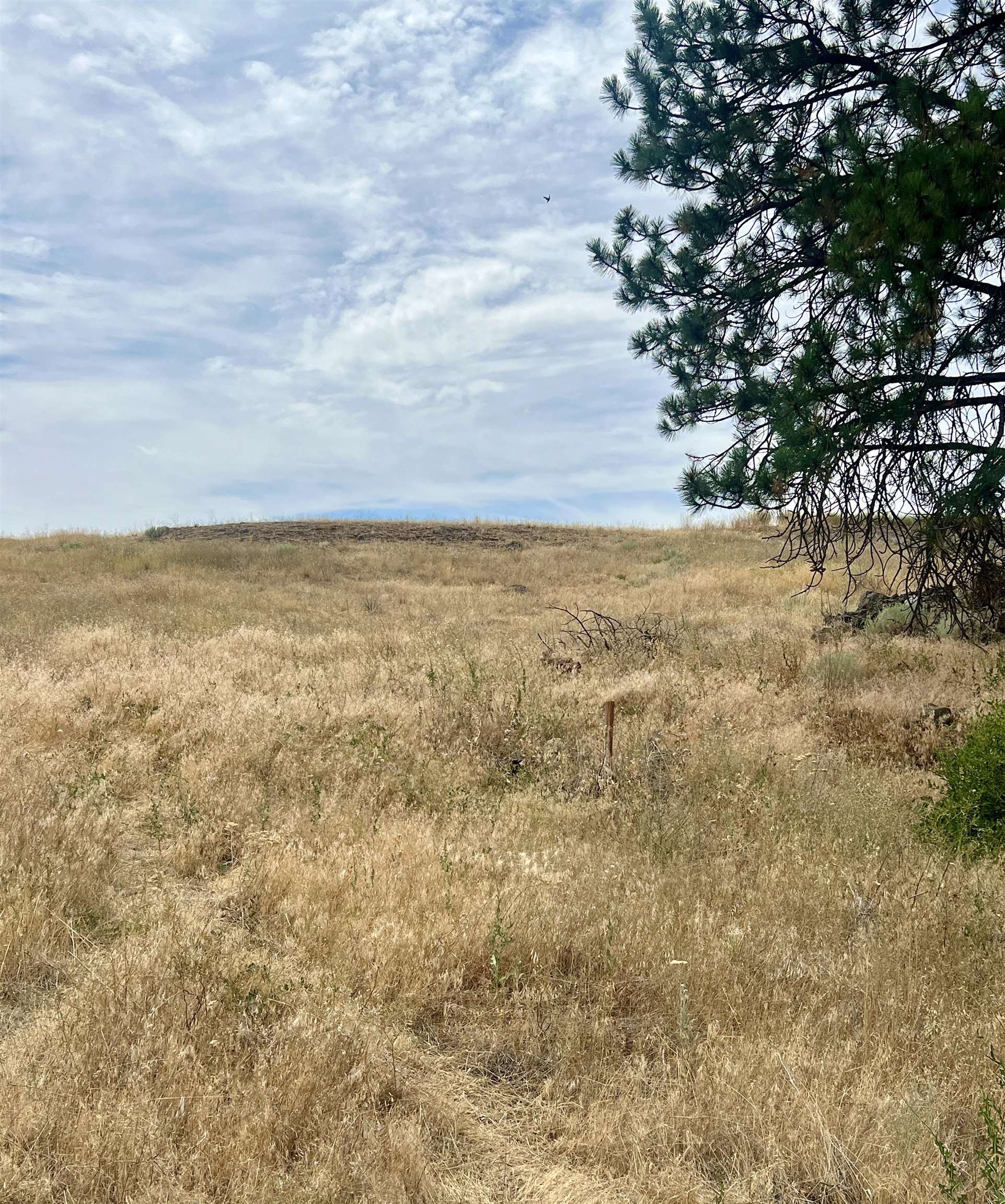 402 East Porak Street Sprague, WA 99032 - Photo 2 of 9