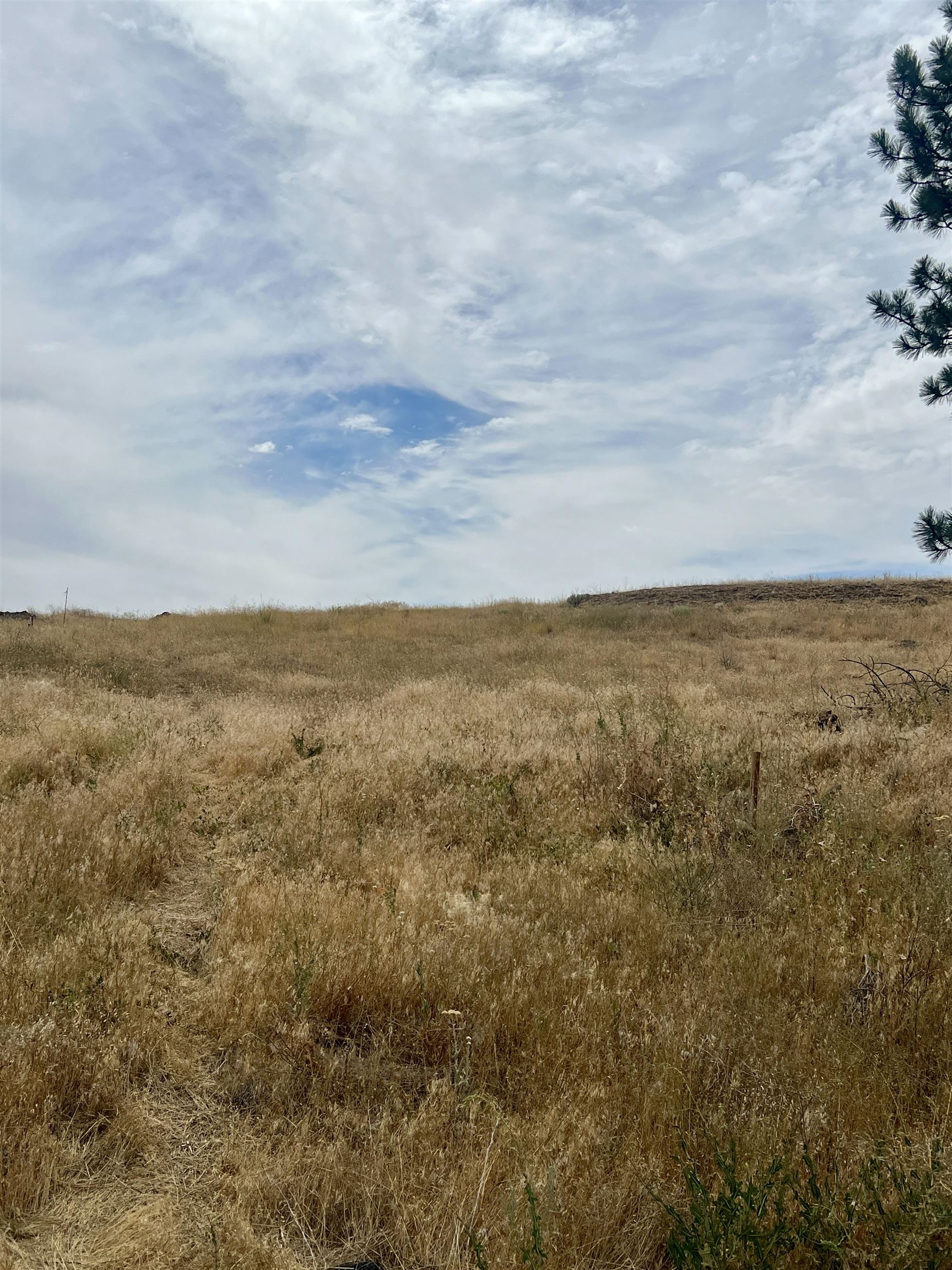 402 East Porak Street Sprague, WA 99032 - Photo 5 of 9