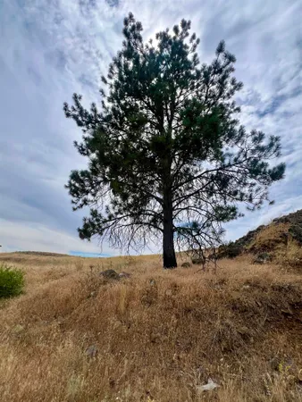 $32,500 | 402 East Porak Street, Sprague, WA 99032