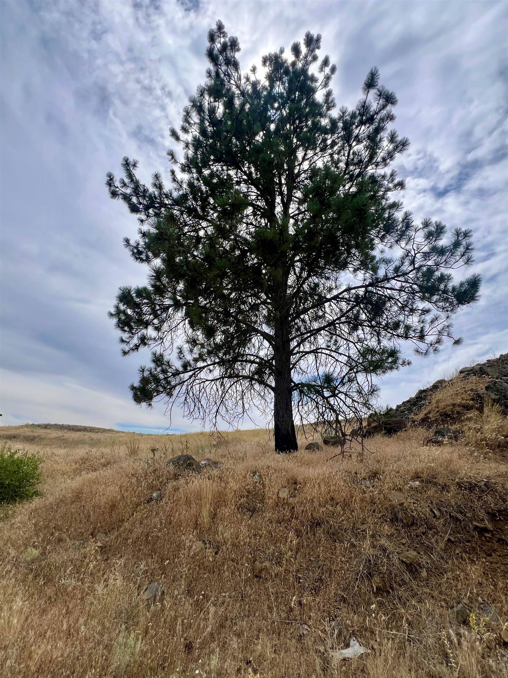 402 East Porak Street Sprague, WA 99032 - Photo 7 of 9
