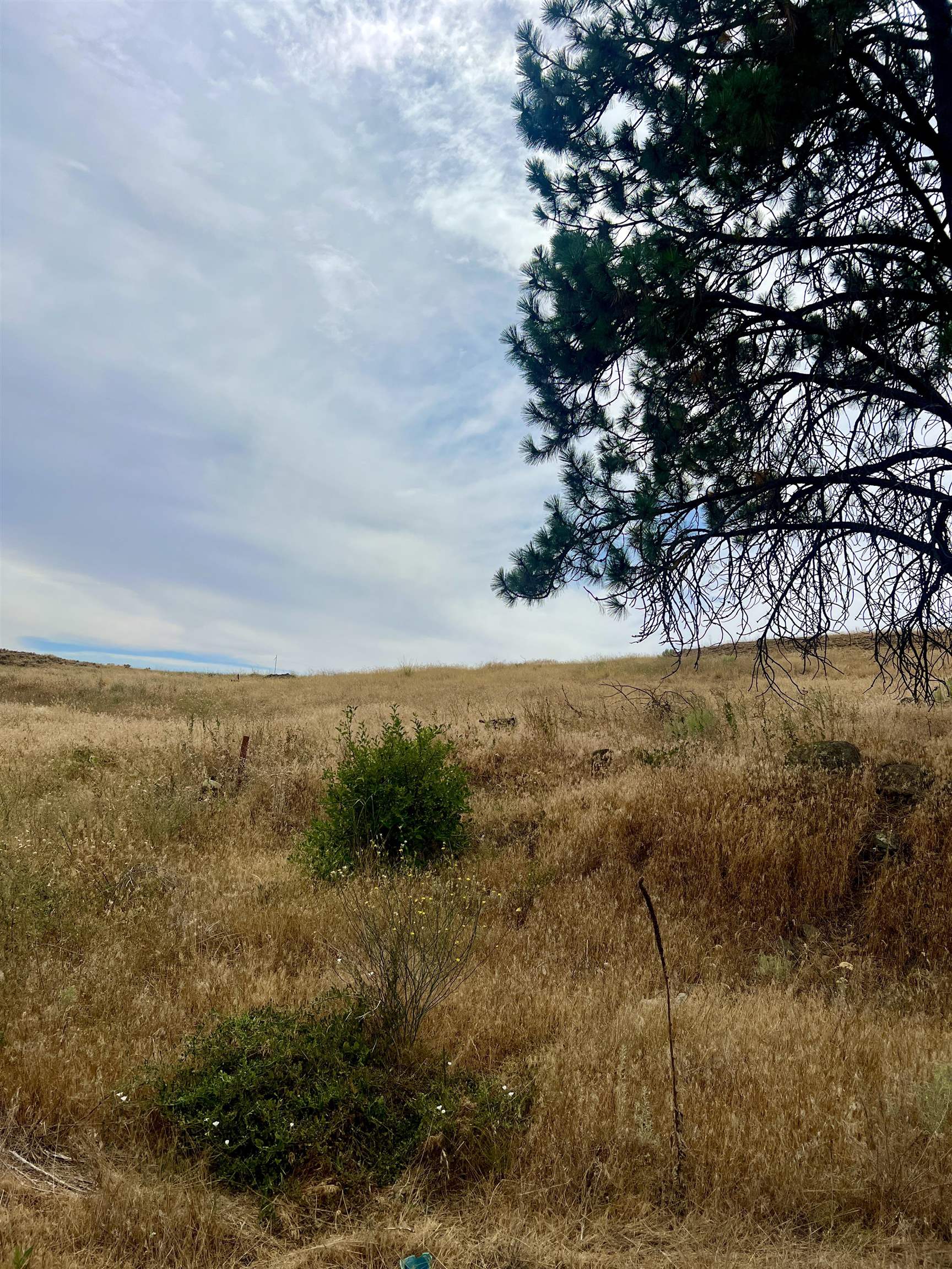 402 East Porak Street Sprague, WA 99032 - Photo 8 of 9