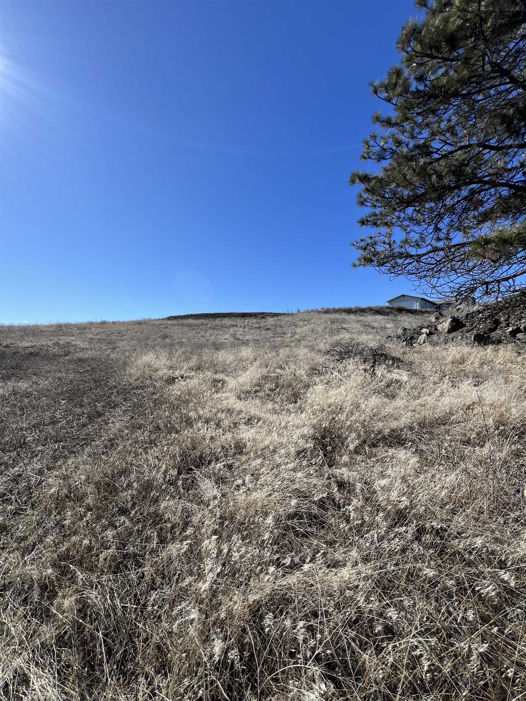 402 East Porak Street Sprague, WA 99032 - Photo 9 of 9