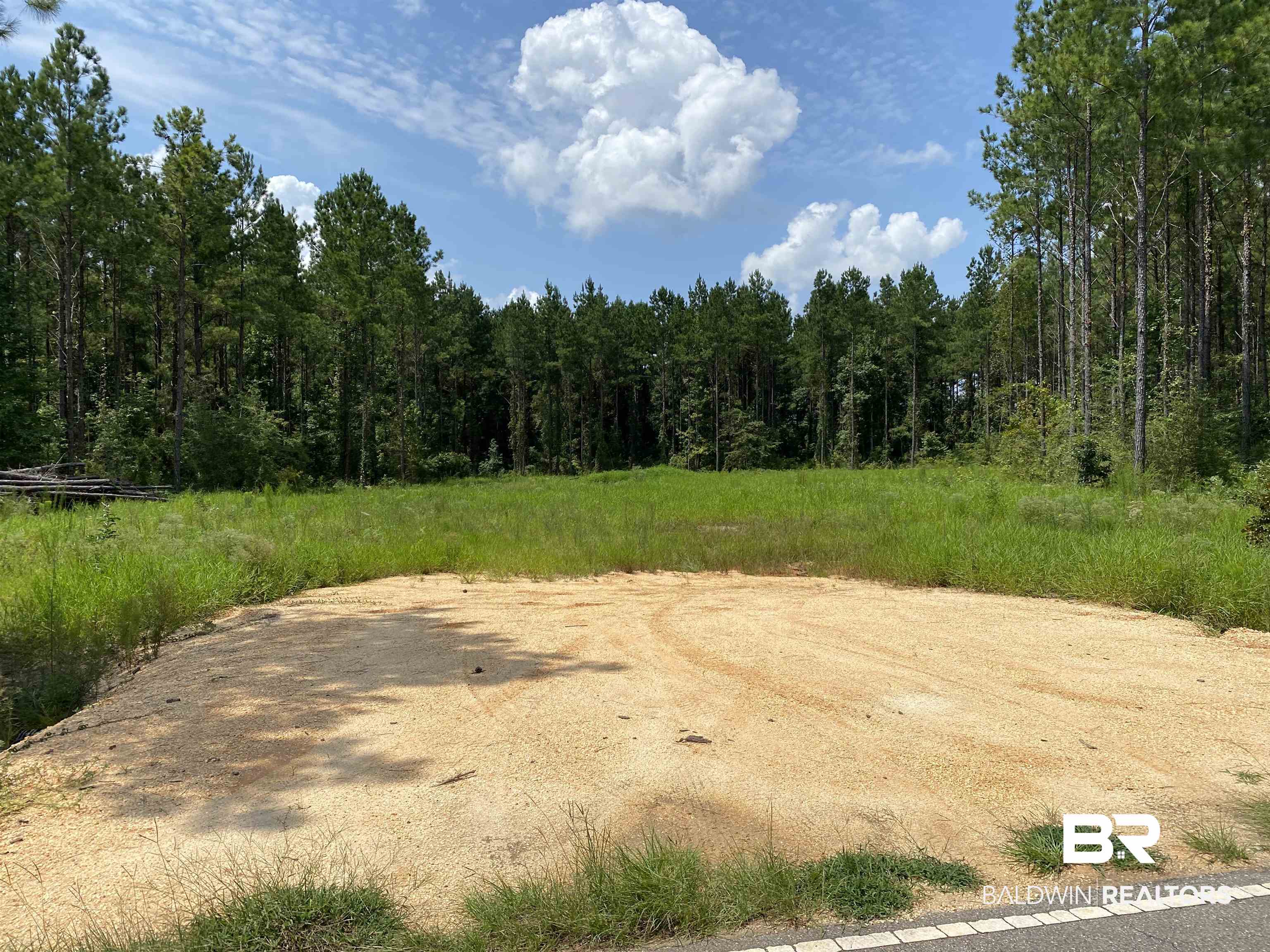 0 Booneville Road Atmore, AL 36502 - Photo 1 of 4