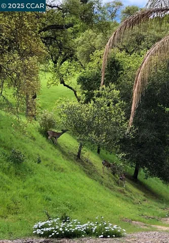 $599,000 | 2933 Ptarmigan Drive, Unit 3, Walnut Creek, CA 94595