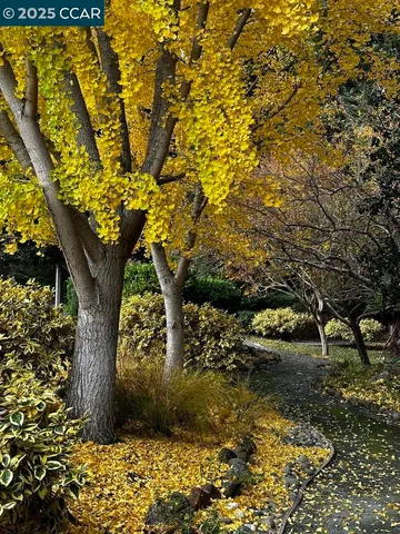 $599,000 | 2933 Ptarmigan Drive, Unit 3, Walnut Creek, CA 94595