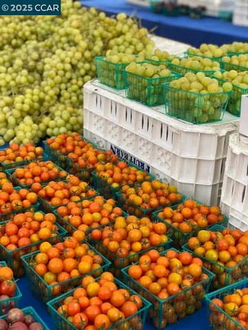 $599,000 | 2933 Ptarmigan Drive, Unit 3, Walnut Creek, CA 94595