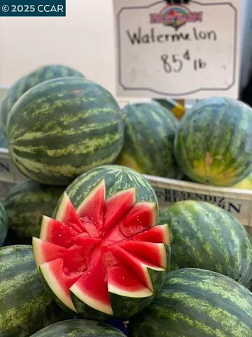 $599,000 | 2933 Ptarmigan Drive, Unit 3, Walnut Creek, CA 94595