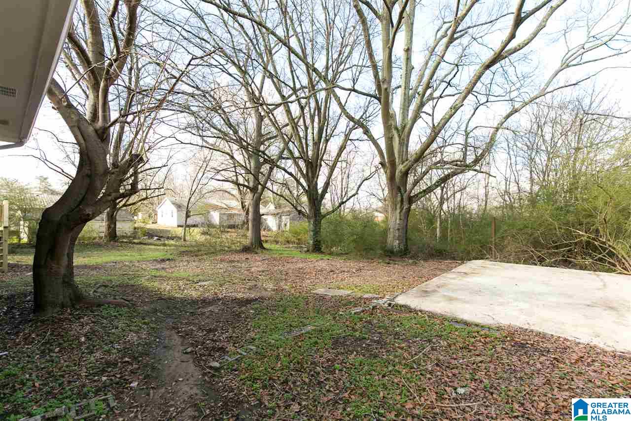 924 3rd Avenue Pleasant Grove, AL 35127 - Photo 6 of 48