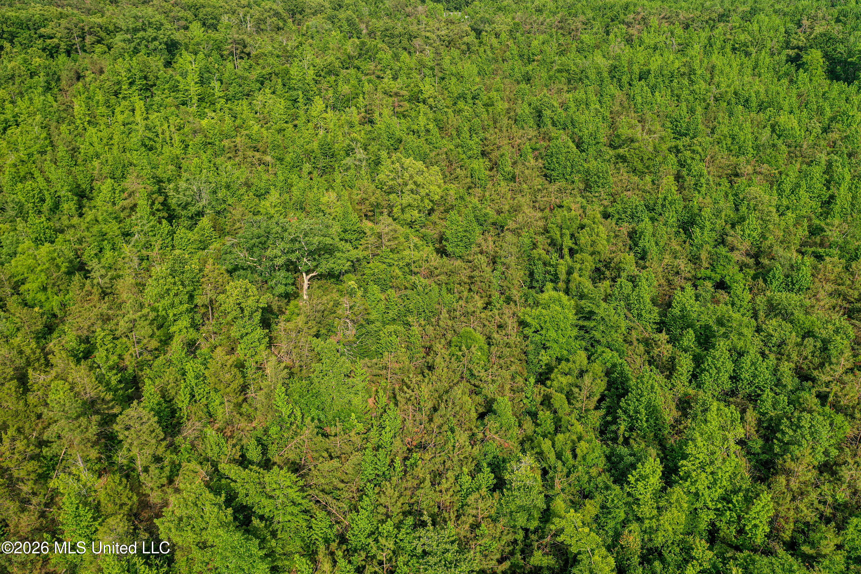 816 County Road Blue Mountain, MS 38610 - Photo 20 of 21 DJI_0754