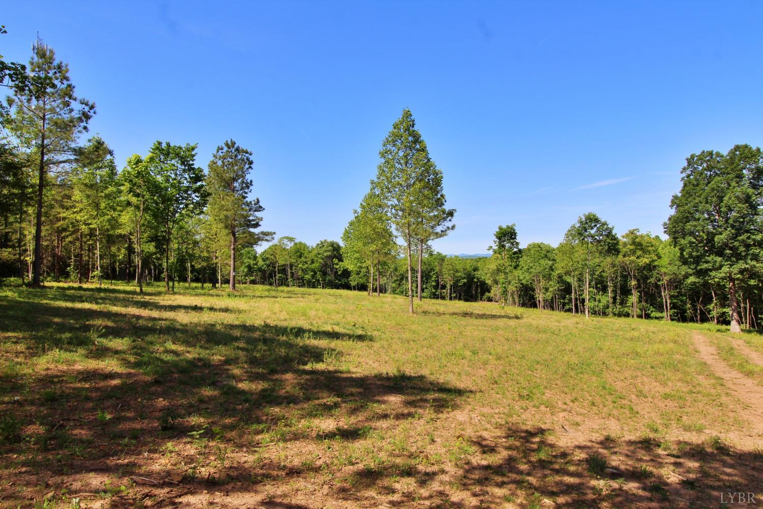 0 Tower Hill Road Appomattox, VA 24522 - Photo 7 of 11