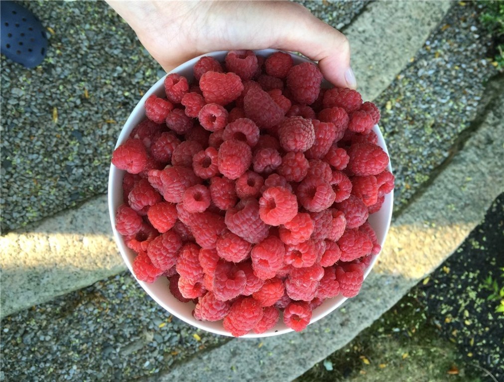 89 Old Main Road Little Compton, RI 02837 - Photo 24 of 34