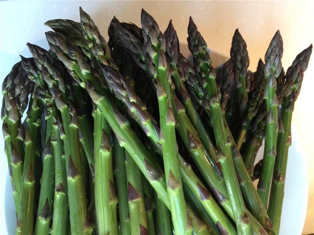 89 Old Main Road Little Compton, RI 02837 - Photo 25 of 34