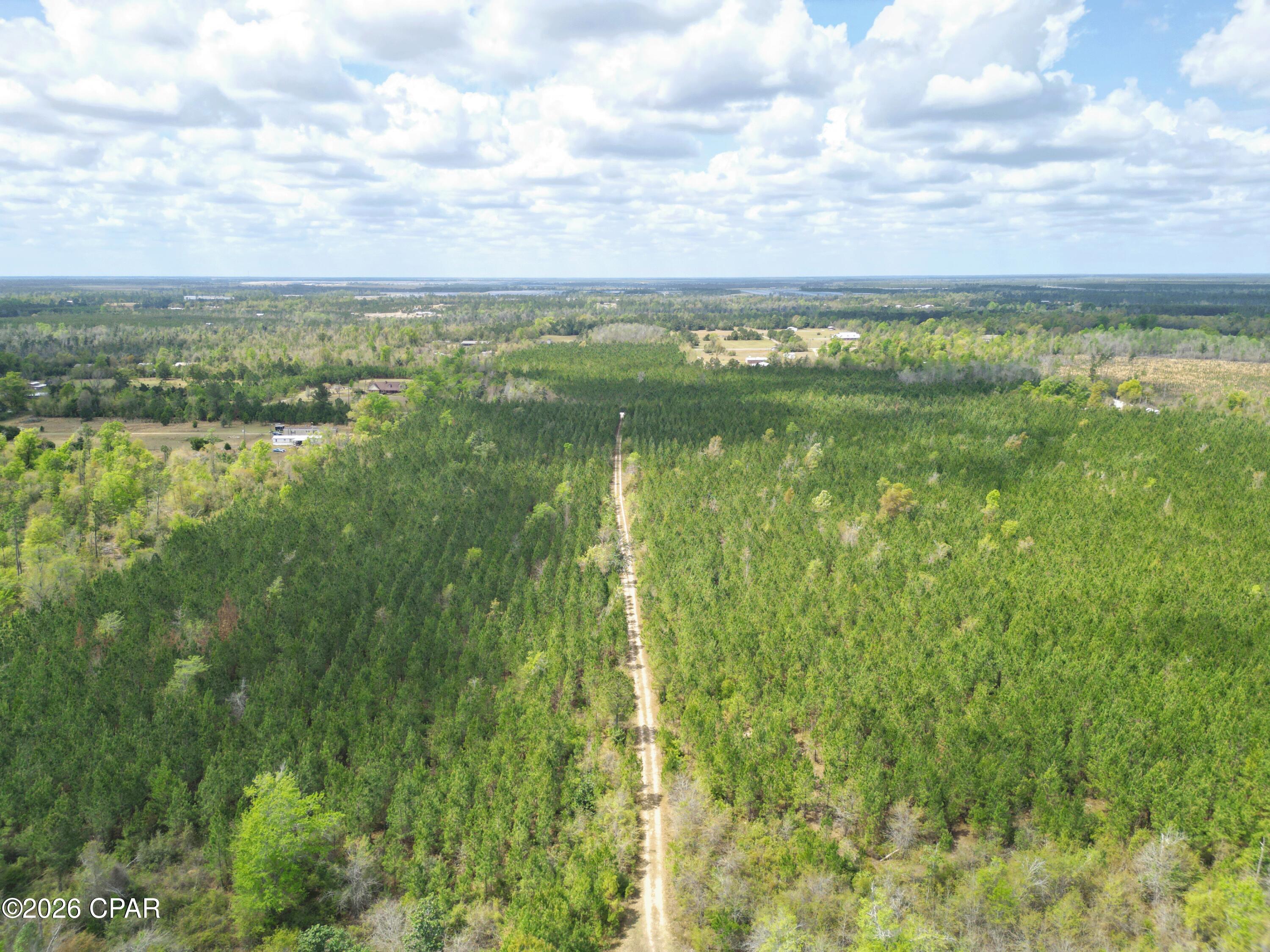 30-acres Northwest Melvin Road Clarksville, FL 32430 - Photo 3 of 7