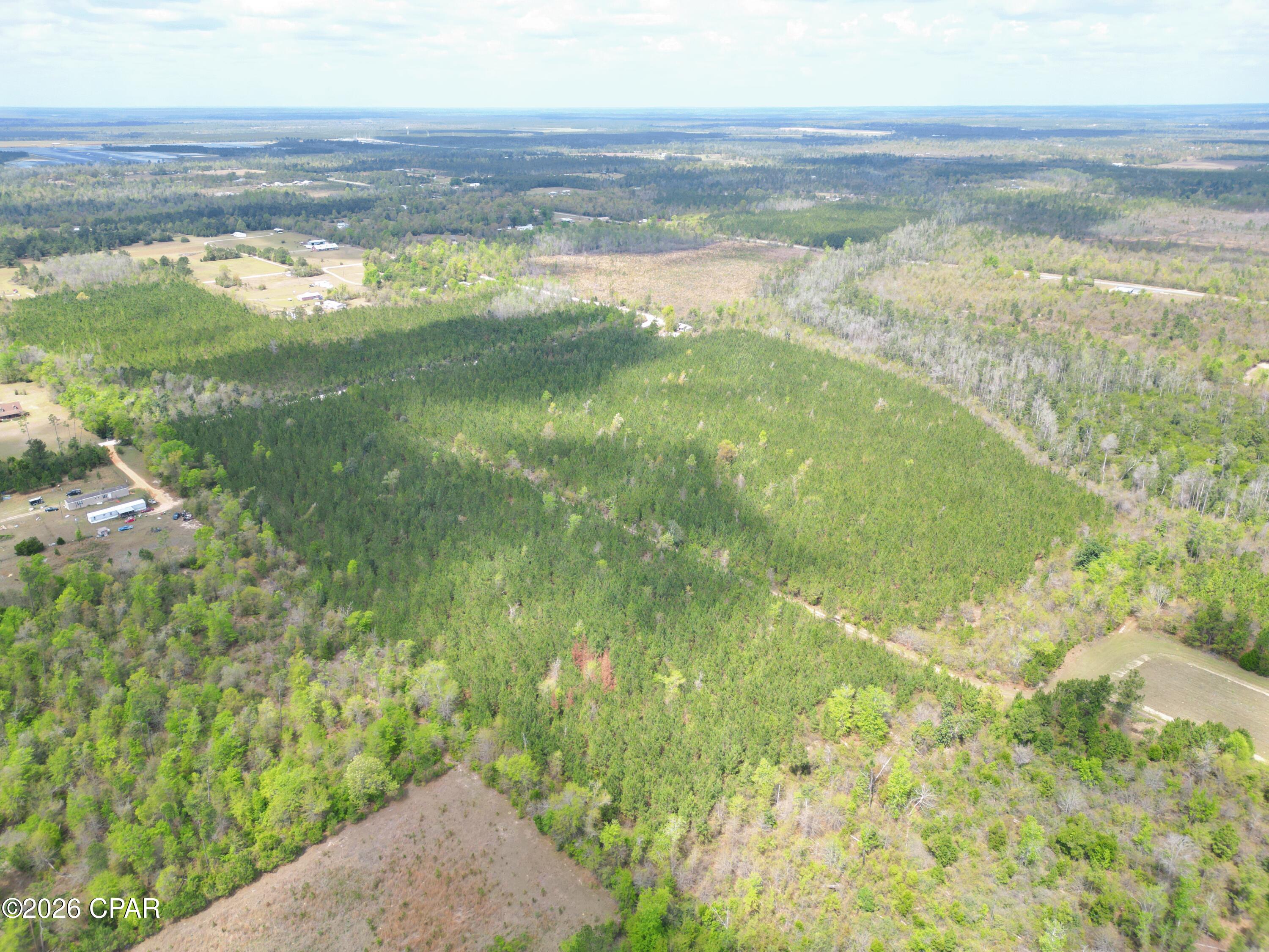 30-acres Northwest Melvin Road Clarksville, FL 32430 - Photo 4 of 7