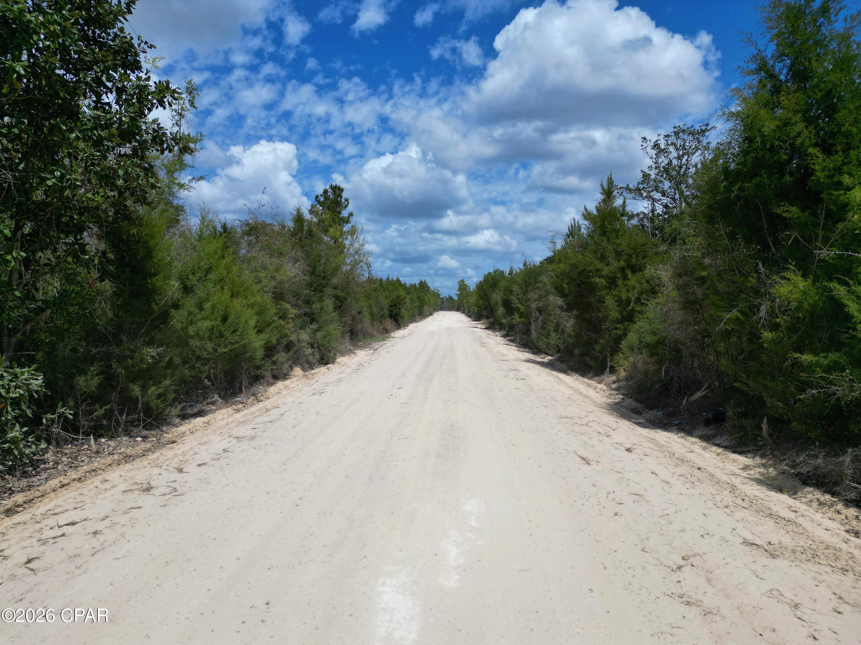 30-acres Northwest Melvin Road Clarksville, FL 32430 - Photo 7 of 7