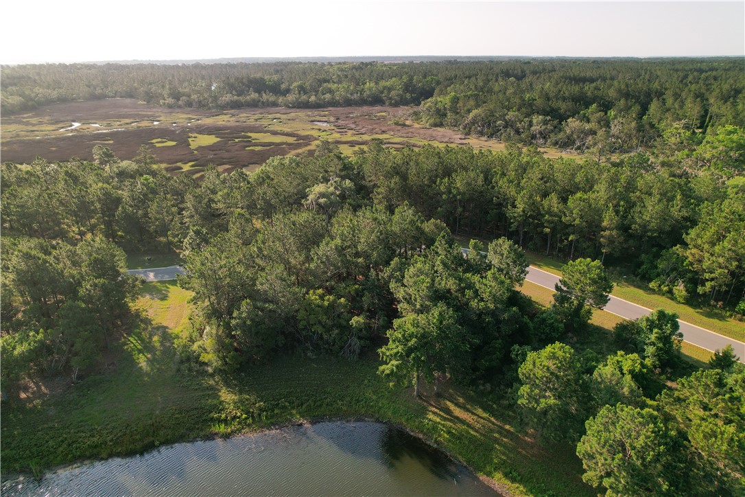 Lot 547 Beacon Pointe Parkway Waverly, GA 31565 - Photo 4 of 16