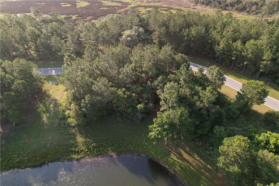 Lot 547 Beacon Pointe Parkway Waverly, GA 31565 - Photo 5 of 16